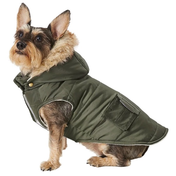 NEW Dog Green Jacket - Picture 1 of 5